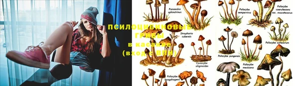 не бодяженный Пестово