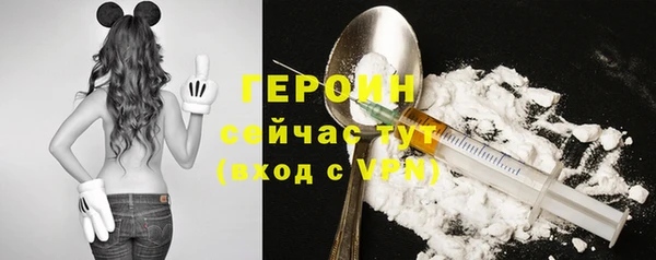 молекула духа Пересвет