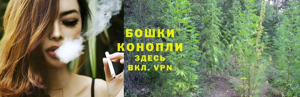 крисы Переславль-Залесский