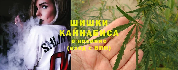 молекула духа Пересвет