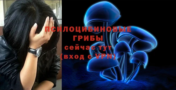 МДМА Осинники