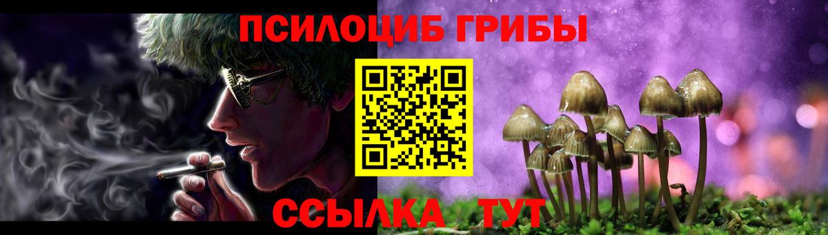 Псилоцибиновые грибы прущие грибы Саки